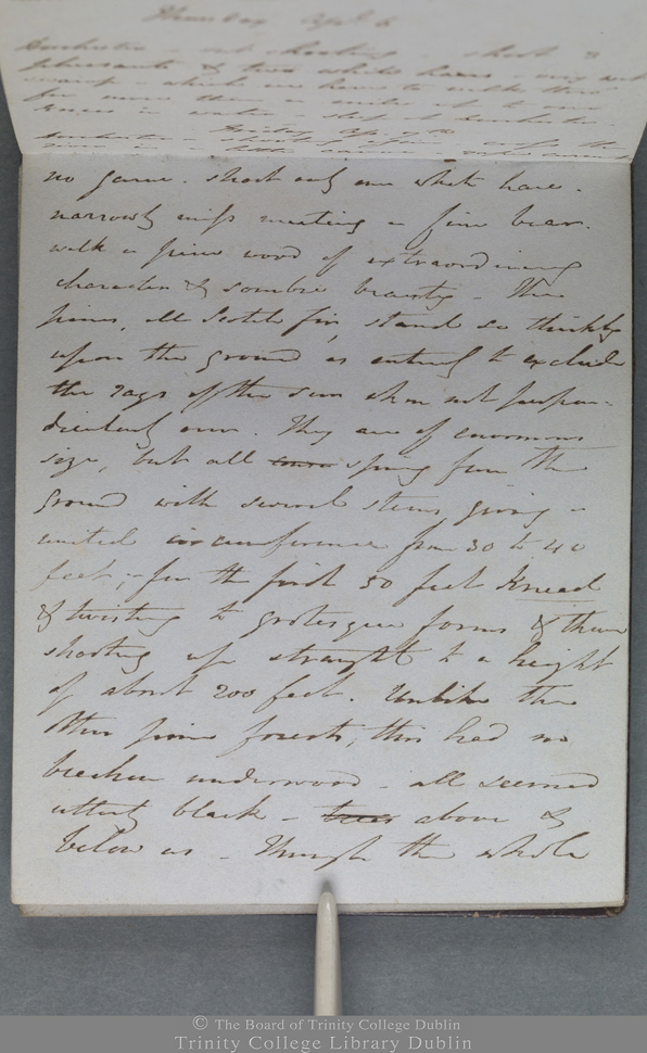 Notes manuscrites du journal personnel rédigées à l’encre brune tournant sur le rouge, sur une page de couleur grise.